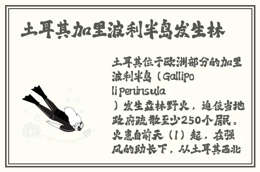 野花高清免费观看视频大全